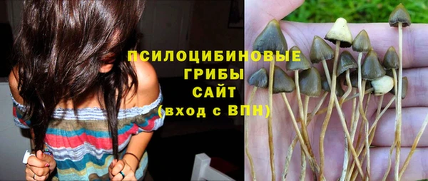 гашик Абинск