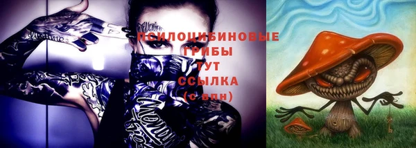 гашик Абинск