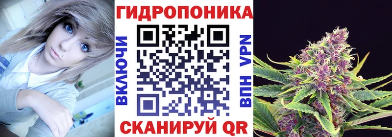 Шишки марихуана OG Kush  как найти закладки  Канск 
